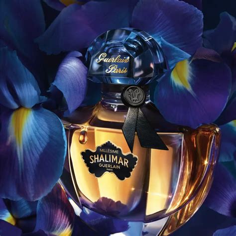 shalimar millesime iris